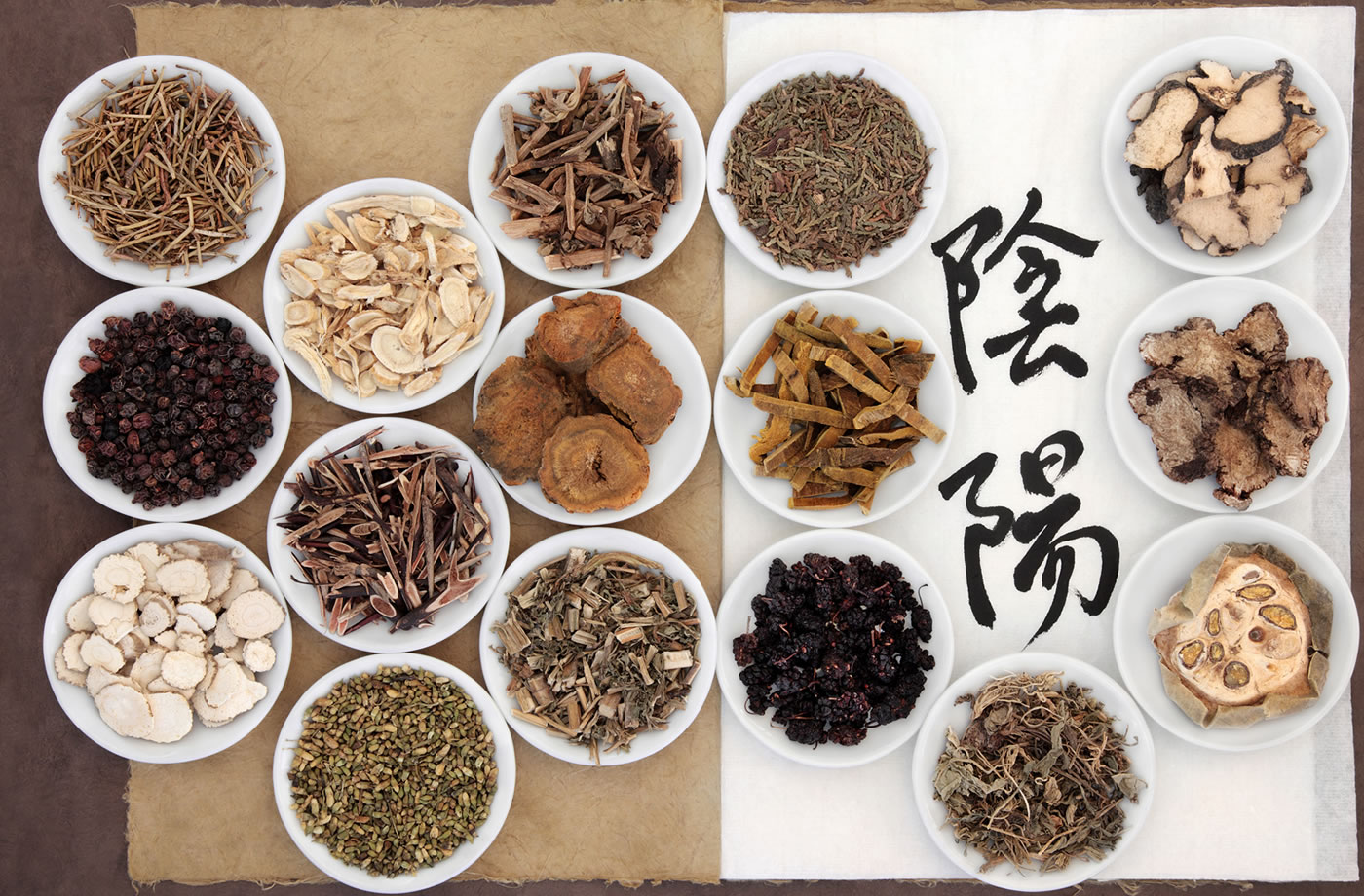 content panax quinquefolius 03